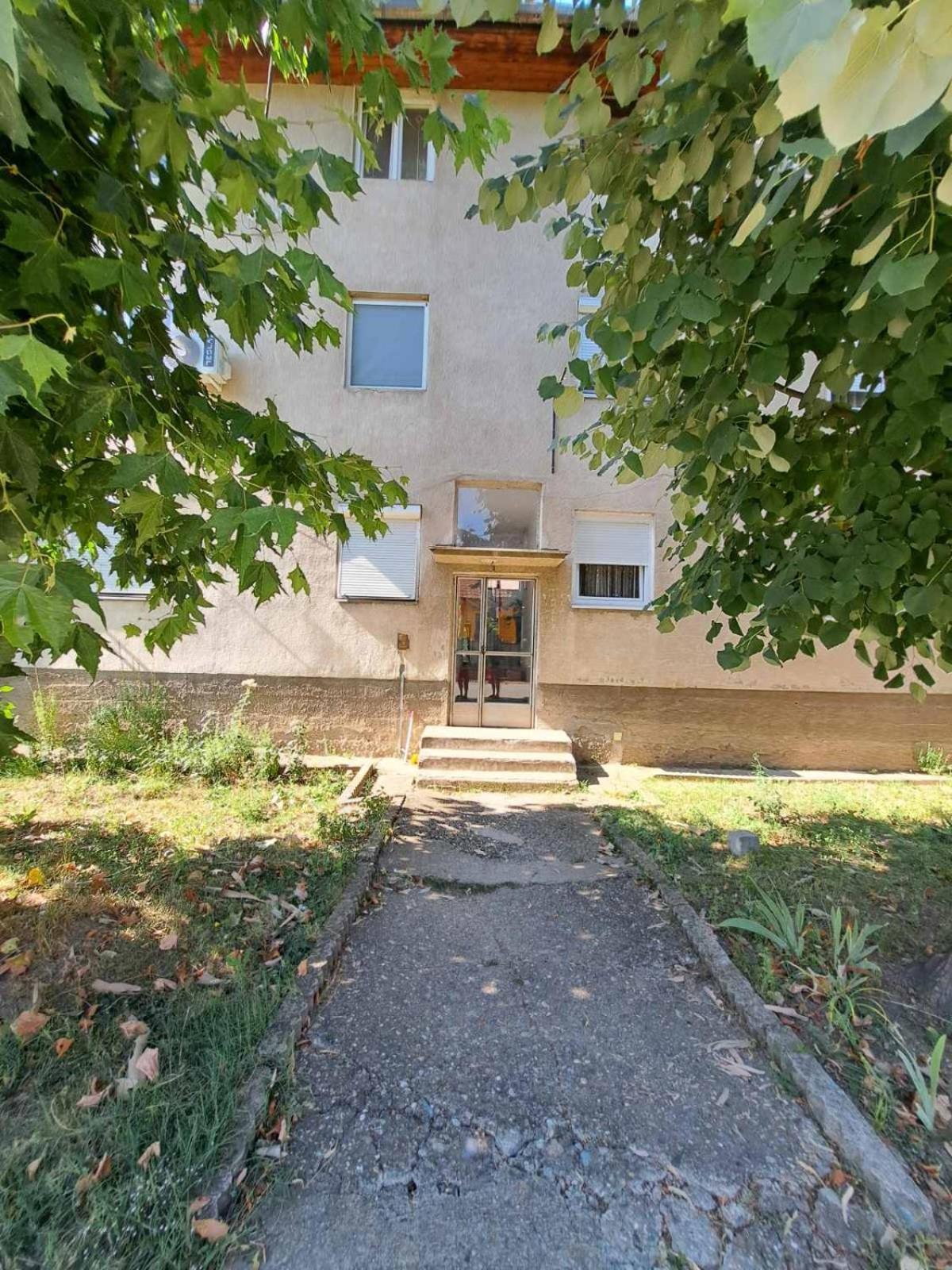 Apartman Mamut Donji Milanovac Exterior foto